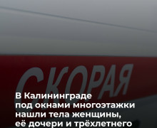 В Калининграде под окнами многоэтажки обнаружены тела трёх членов одной семьи