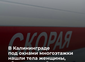 В Калининграде под окнами многоэтажки обнаружены тела трёх членов одной семьи