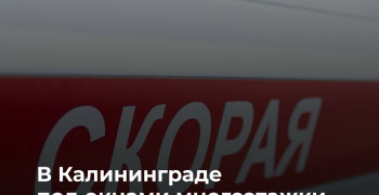 В Калининграде под окнами многоэтажки обнаружены тела трёх членов одной семьи
