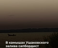 В камышах Ушаковского залива обнаружено тело 68-летнего мужчины