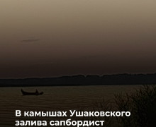 В камышах Ушаковского залива обнаружено тело 68-летнего мужчины