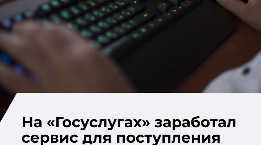 На портале «Госуслуги» запустили сервис для поступления в колледжи и техникумы