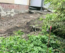При реконструкции улицы Галицкого в Калининграде повреждена отмостка жилого дома