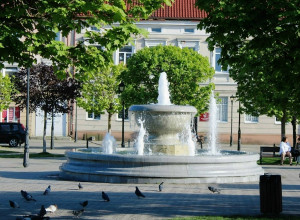 В Гвардейске вандалы повредили городской фонтан, забросав его камнями