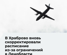 В аэропорту Храброво задерживаются 22 рейса, три отменены