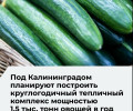 Проект первого этапа тепличного комплекса в Калининградской области прошел негосударственную экспертизу