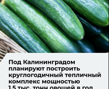 Проект первого этапа тепличного комплекса в Калининградской области прошел негосударственную экспертизу