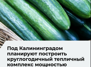 Проект первого этапа тепличного комплекса в Калининградской области прошел негосударственную экспертизу