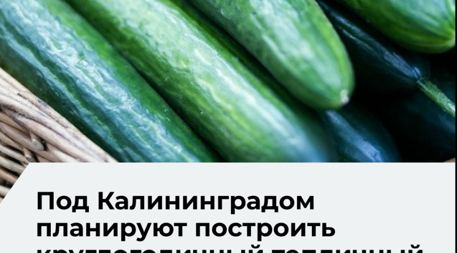 Проект первого этапа тепличного комплекса в Калининградской области прошел негосударственную экспертизу