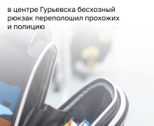 Зелёный рюкзак на разделительной полосе вызвал тревогу у калининградцев