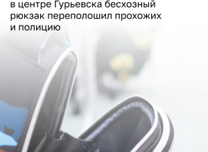 Зелёный рюкзак на разделительной полосе вызвал тревогу у калининградцев