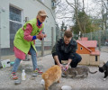 В Зеленоградске и на Куршской косе прошли съемки тревел-шоу «Кто куда»