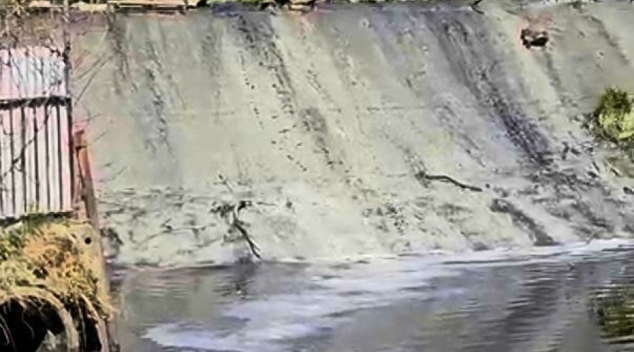 Жители Калининграда сообщают о загрязнении и запахе в Гагаринском ручье