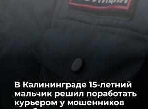 Школьник-курьер забрал у пенсионерки 700 тысяч рублей по указанию телефонных мошенников