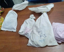 В Калининградской области пресечена попытка контрабанды 37 редких ящериц на сумму более 5,5 млн рублей