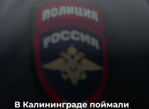 В Калининграде полиция задержала подозреваемого в серии краж из магазинов