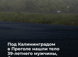 В реке под Калининградом нашли тело мужчины, пропавшего в конце мая