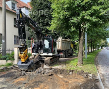 На проспекте Победы в Калининграде продолжили ремонт тротуара: жители обеспокоены сохранностью деревьев