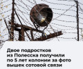 В Калининградской области вынесен приговор двум подросткам за участие в террористической организации