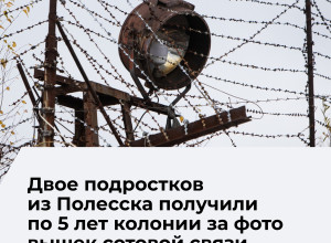 В Калининградской области вынесен приговор двум подросткам за участие в террористической организации