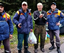 Под Осиновкой спасатели несколько часов искали заблудившегося грибника
