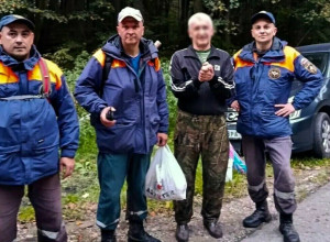 Под Осиновкой спасатели несколько часов искали заблудившегося грибника