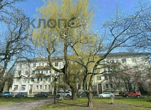 Обрезка магнолии у драмтеатра в Калининграде признана незаконной, полиция займется поиском виновных