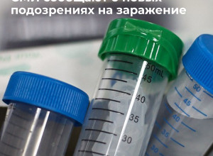Два новых подозрения на хантавирус после вспышки на круизном лайнере MV Hondius
