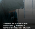 Десять жителей Калининградской области стали жертвами мошенников за неделю