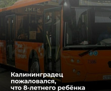 В Калининграде контролёр высадила восьмилетнего школьника, оплатившего проезд