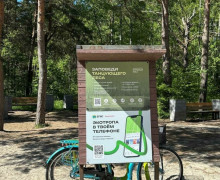 На Куршской косе обновили информационные стенды в Танцующем лесу