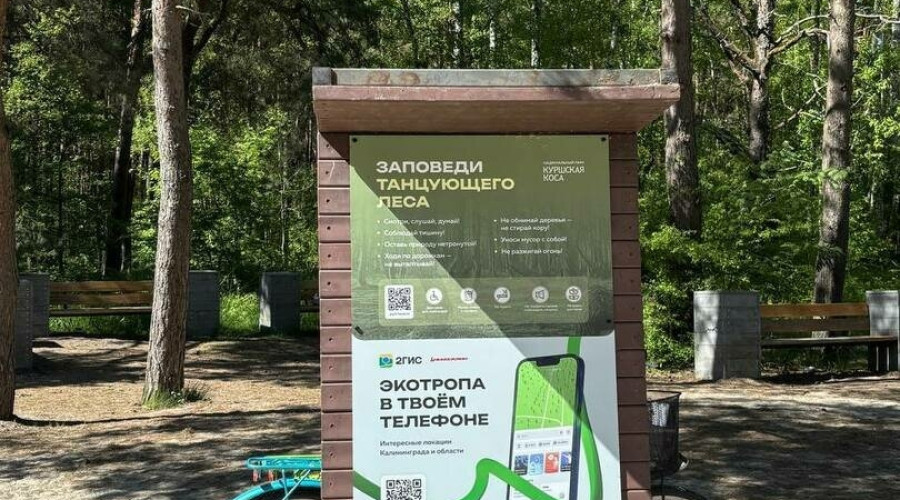 На Куршской косе обновили информационные стенды в Танцующем лесу