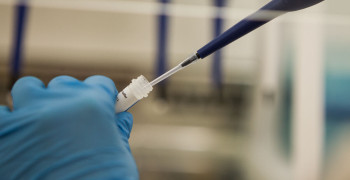 Малышева назвала анализ, связанный с продолжительностью жизни