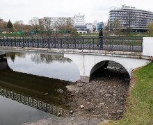 Нижнее озеро в Калининграде значительно обмелело