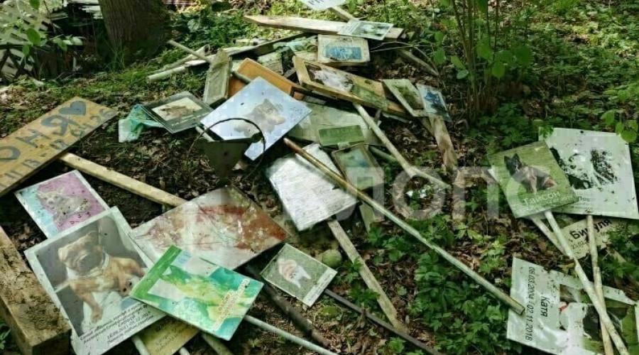 В Цветково неизвестные повредили стихийное кладбище домашних животных