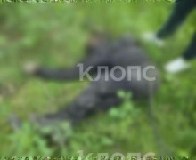 Тело мужчины в заброшенном доме на улице Пархоменко пролежало более трёх месяцев