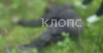 Тело мужчины в заброшенном доме на улице Пархоменко пролежало более трёх месяцев