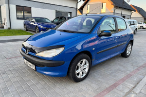 Peugeot 206, 2001
