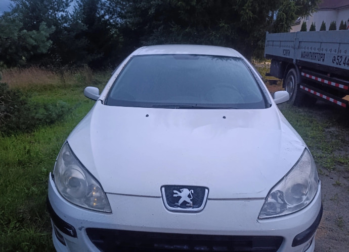 Peugeot 407, 2006