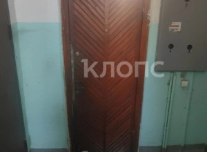 «Запах из квартиры, будто там труп»: жильцы дома в Калининграде жалуются на соседку