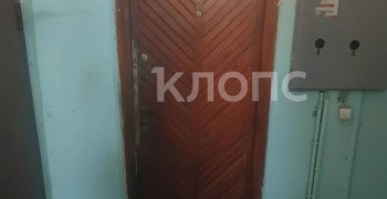 «Запах из квартиры, будто там труп»: жильцы дома в Калининграде жалуются на соседку
