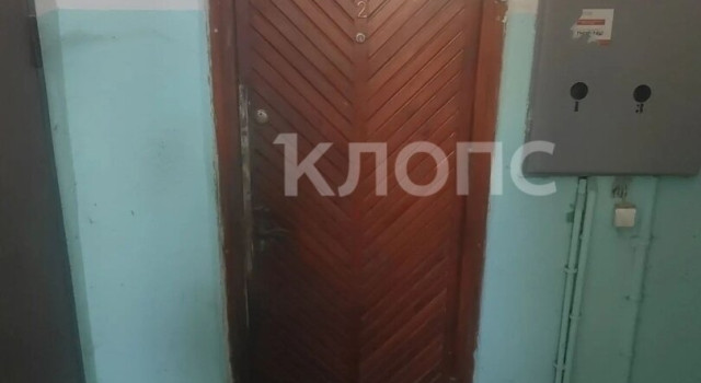 «Запах из квартиры, будто там труп»: жильцы дома в Калининграде жалуются на соседку