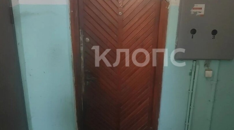 «Запах из квартиры, будто там труп»: жильцы дома в Калининграде жалуются на соседку