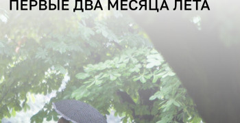 «Порадовать вас и сказать, что лето возьмёт реванш в августе, я не могу