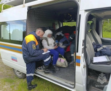 В лесу под Низовкой спасатели нашли 87-летнюю женщину, которая не могла выбраться самостоятельно