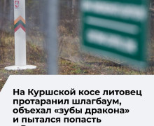 Житель Литвы попытался незаконно пересечь границу под Калининградом
