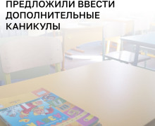 В Общественной палате РФ предложили ввести дополнительную неделю зимних каникул для младшеклассников