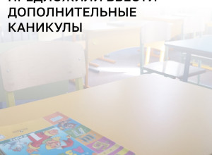 В Общественной палате РФ предложили ввести дополнительную неделю зимних каникул для младшеклассников
