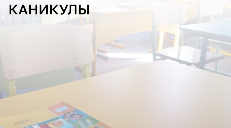 В Общественной палате РФ предложили ввести дополнительную неделю зимних каникул для младшеклассников