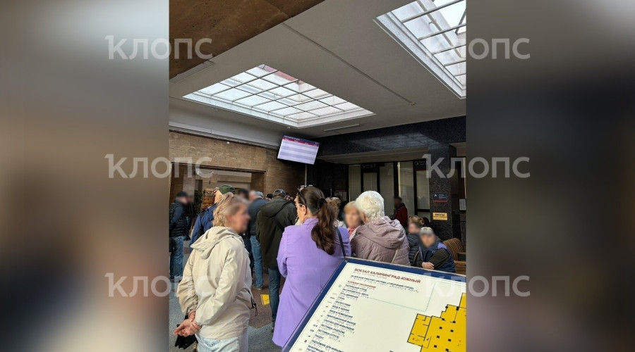 Калининградка неделю не может купить билеты на поезд в Москву из-за очередей и сбоев онлайн